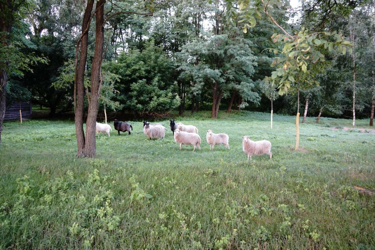 Ferien In Himmelpfort Exteriör bild